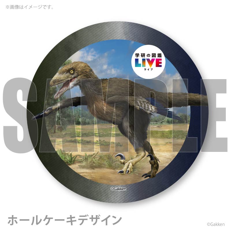 �ץꥱ�����ʥǥ��Υ˥����ˡ���ŵ�����ɤޤ��ϴ̥Хå��դ���[�ظ��ο޴�LIVE]