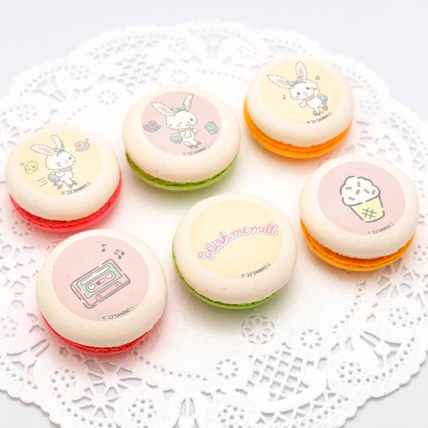 ץޥ6ĥåȡʥ֥ǥˡŵ̥Хåդ[åߡ]