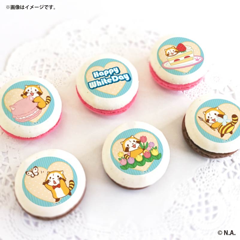 �ۥ磻�ȥǡ��ץ�ޥ�����6�ĥ��å�2026�ʥ֥롼�ǥ�����ˡ���ŵ�̥Хå��դ���[�饹����]
