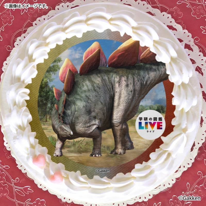 �ץꥱ�����ʥ��ƥ������륹�ˡ���ŵ�����ɤޤ��ϴ̥Хå��դ���[�ظ��ο޴�LIVE]