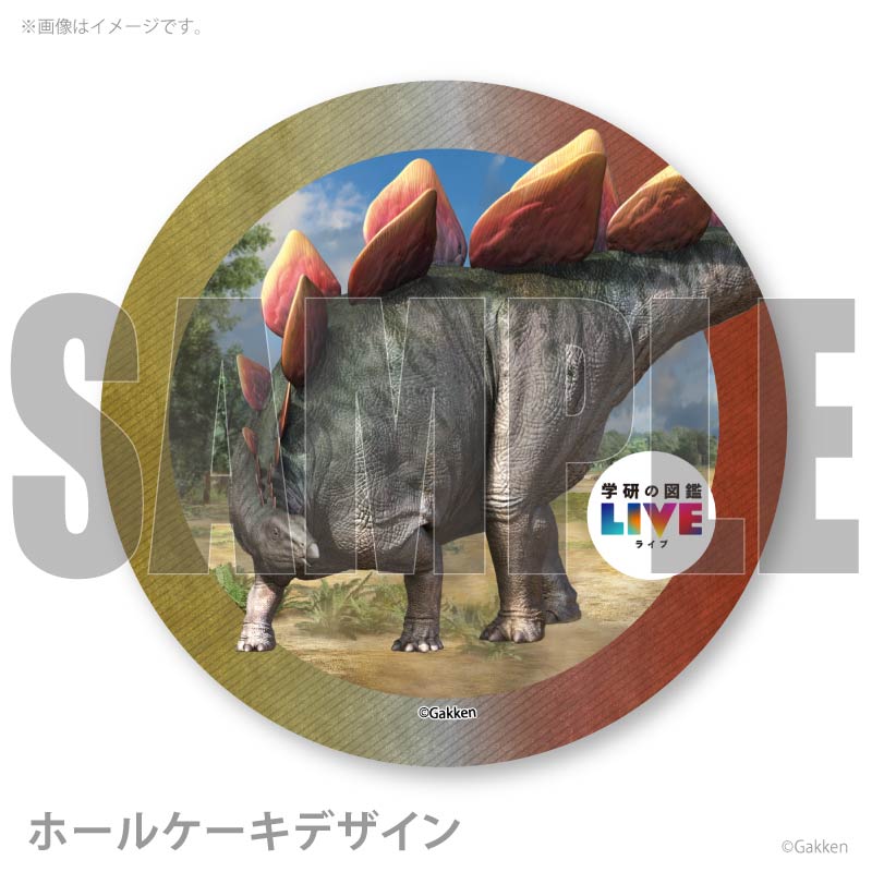 �ץꥱ�����ʥ��ƥ������륹�ˡ���ŵ�����ɤޤ��ϴ̥Хå��դ���[�ظ��ο޴�LIVE]