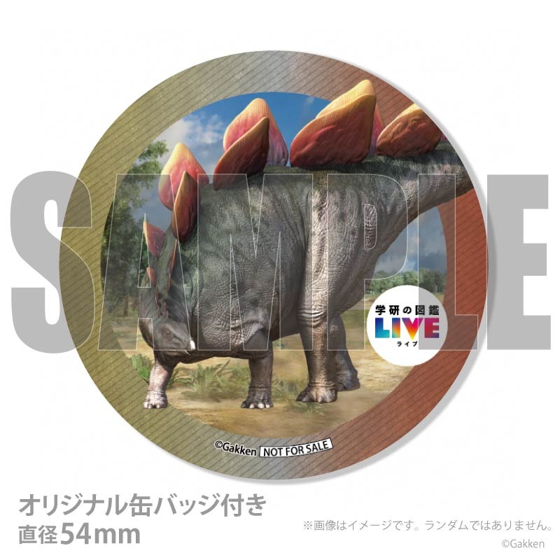 �ץꥱ�����ʥ��ƥ������륹�ˡ���ŵ�����ɤޤ��ϴ̥Хå��դ���[�ظ��ο޴�LIVE]