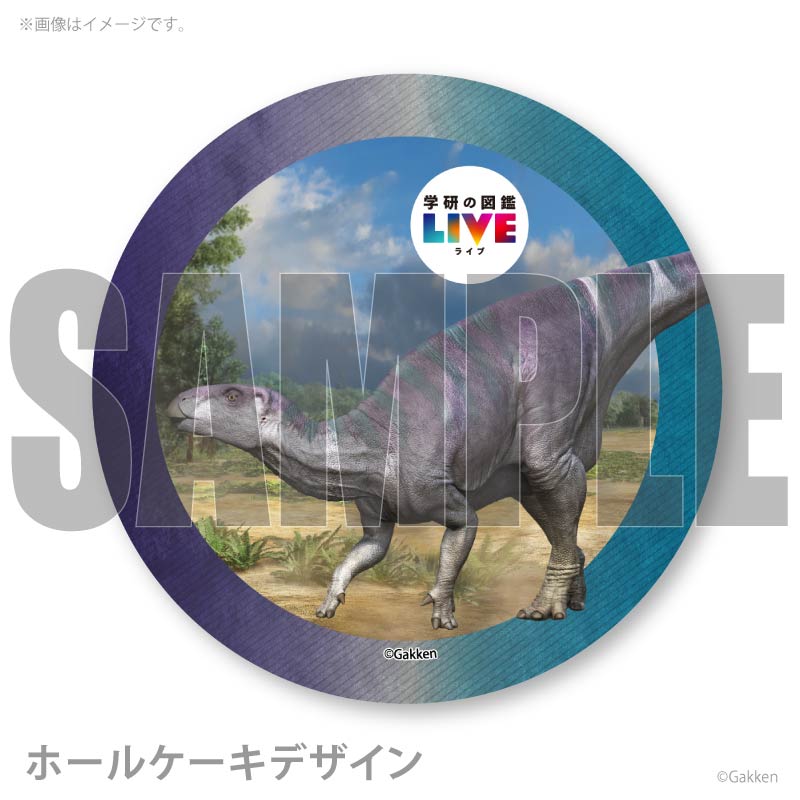 �ץꥱ�����ʥ������Υɥ�ˡ���ŵ�����ɤޤ��ϴ̥Хå��դ���[�ظ��ο޴�LIVE]