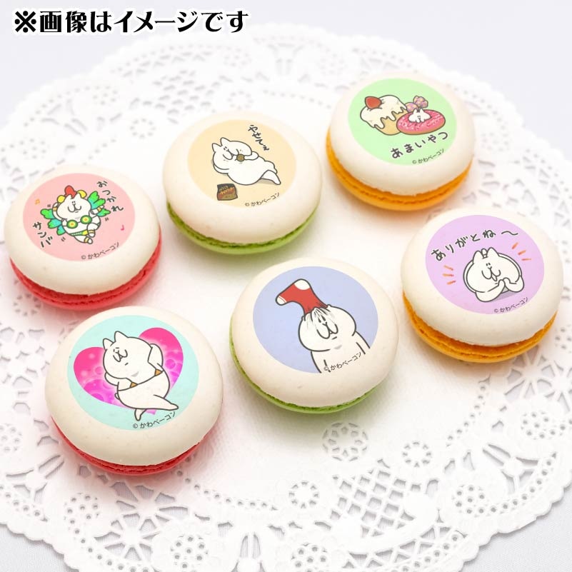 ねこの日プリマカロン6個セット（にゃっちーず）【特典缶バッジ付き