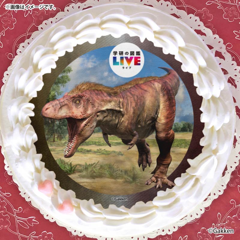 �ץꥱ�����ʥƥ���Υ����륹�ˡ���ŵ�����ɤޤ��ϴ̥Хå��դ���[�ظ��ο޴�LIVE]