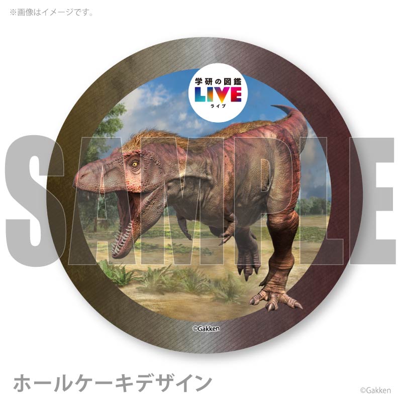 �ץꥱ�����ʥƥ���Υ����륹�ˡ���ŵ�����ɤޤ��ϴ̥Хå��դ���[�ظ��ο޴�LIVE]