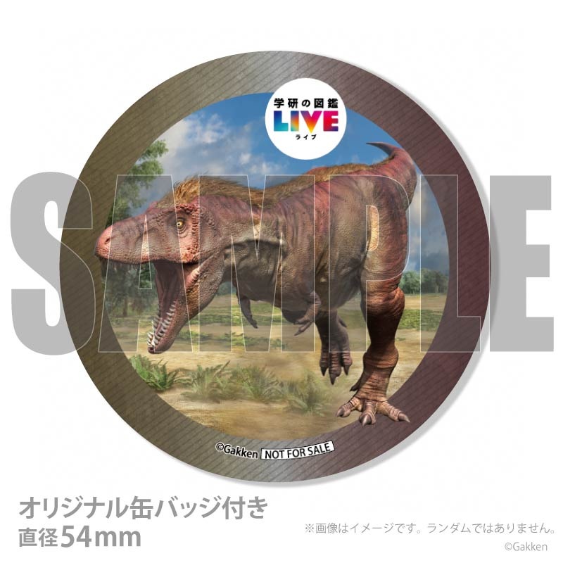 �ץꥱ�����ʥƥ���Υ����륹�ˡ���ŵ�����ɤޤ��ϴ̥Хå��դ���[�ظ��ο޴�LIVE]