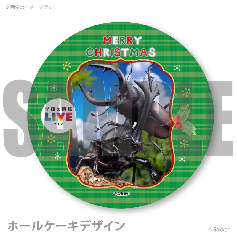 Xmas�ץꥱ����2025�ʺ���ˡ���ŵ�̥Хå��դ���[�ظ��ο޴�LIVE]