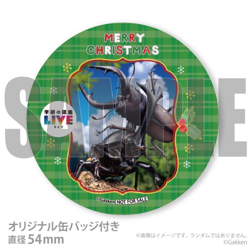 Xmas�ץꥱ����2025�ʺ���ˡ���ŵ�̥Хå��դ���[�ظ��ο޴�LIVE]