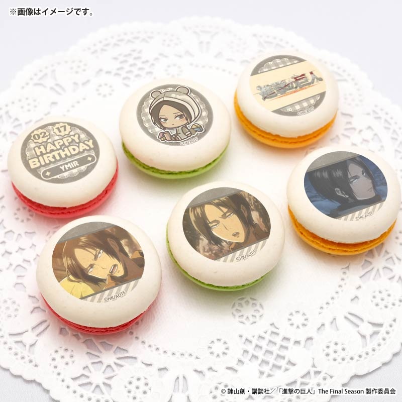 �С����ǡ��ץ�ޥ�����6�ĥ��å�2026�ʥ�ߥ�ˡ���ŵ�̥Хå��դ���[�ʷ�ε��]