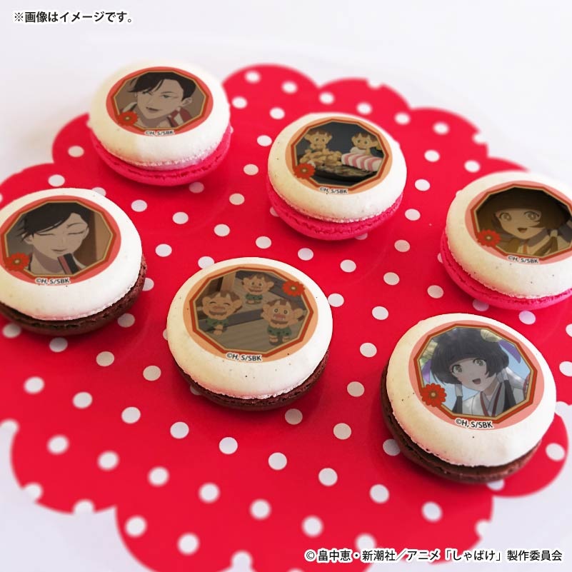 �Х�󥿥���ץ�ޥ�����6�ĥ��å�2026���Ĳȡ�֢���Τ�������ɧɱ�ˡ���ŵ�̥Хå��դ���[����Ф�]