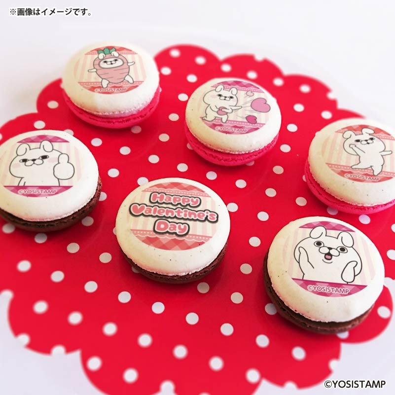 �Х�󥿥���ץ�ޥ�����6�ĥ��å�2026�ʤ���������ˡ���ŵ�̥Хå��դ���[��å����������]