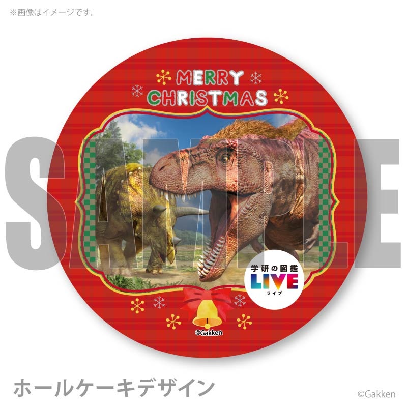 Xmas�ץꥱ����2025�ʶ�ε�ˡ���ŵ�̥Хå��դ���[�ظ��ο޴�LIVE]