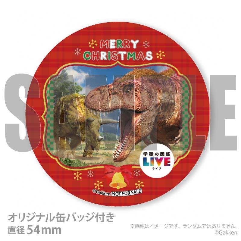 Xmas�ץꥱ����2025�ʶ�ε�ˡ���ŵ�̥Хå��դ���[�ظ��ο޴�LIVE]