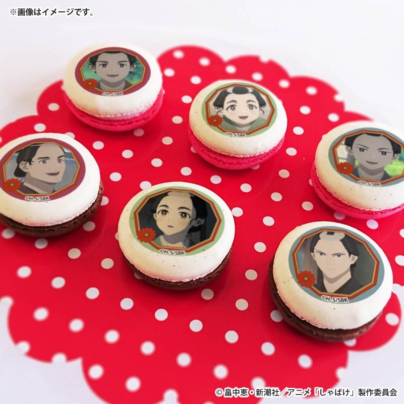 �Х�󥿥���ץ�ޥ�����6�ĥ��å�2026�ʰ���Ϻ���εȡ������ˡ���ŵ�̥Хå��դ���[����Ф�]