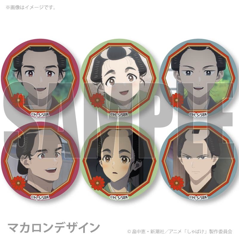 �Х�󥿥���ץ�ޥ�����6�ĥ��å�2026�ʰ���Ϻ���εȡ������ˡ���ŵ�̥Хå��դ���[����Ф�]