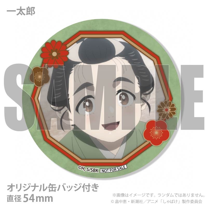 �Х�󥿥���ץ�ޥ�����6�ĥ��å�2026�ʰ���Ϻ���εȡ������ˡ���ŵ�̥Хå��դ���[����Ф�]