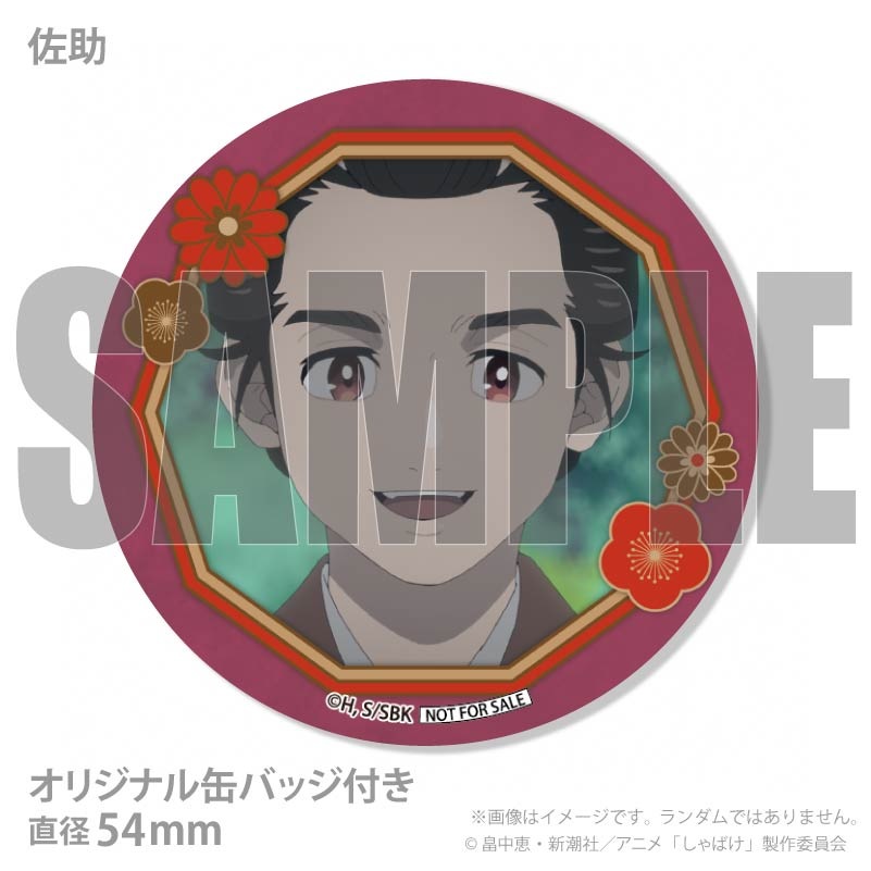 �Х�󥿥���ץ�ޥ�����6�ĥ��å�2026�ʰ���Ϻ���εȡ������ˡ���ŵ�̥Хå��դ���[����Ф�]