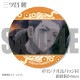 �����������ǥ�����ץ�ޥ�����6�ĥ��åȡʻ���ë δ���� Ȭ�������ӽ�����ˡ���ŵ�̥Хå��դ���[�����٥󥸥㡼��]