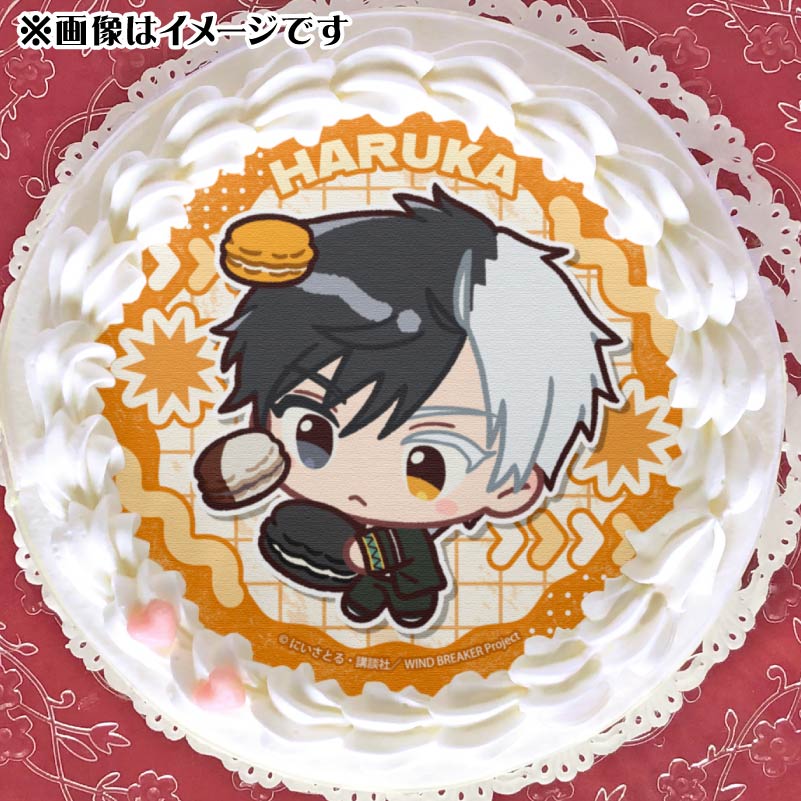 �ץꥱ�����ʺ� �ڡˡ���ŵ�̥Хå��դ���[WIND BREAKER]