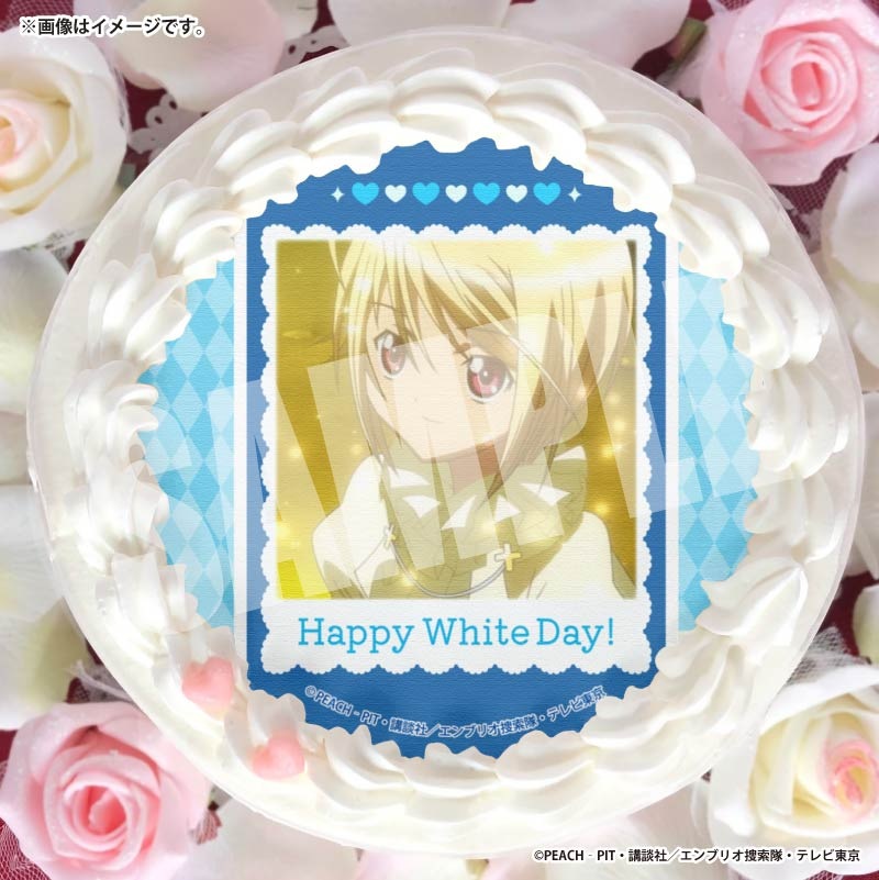 �ۥ磻�ȥǡ��ץꥱ����2026����Τͣ���ˡ���ŵ�̥Хå��դ���[���头����顪]