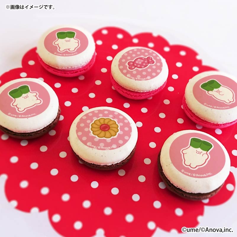�Х�󥿥���ץ�ޥ�����6�ĥ��å�2026����ŵ�̥Хå��դ���[�ͥ�������]