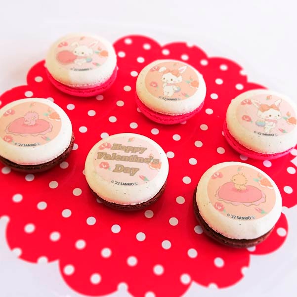 Х󥿥ץޥ6ĥå2023ŵ̥Хåդ[åߡ]