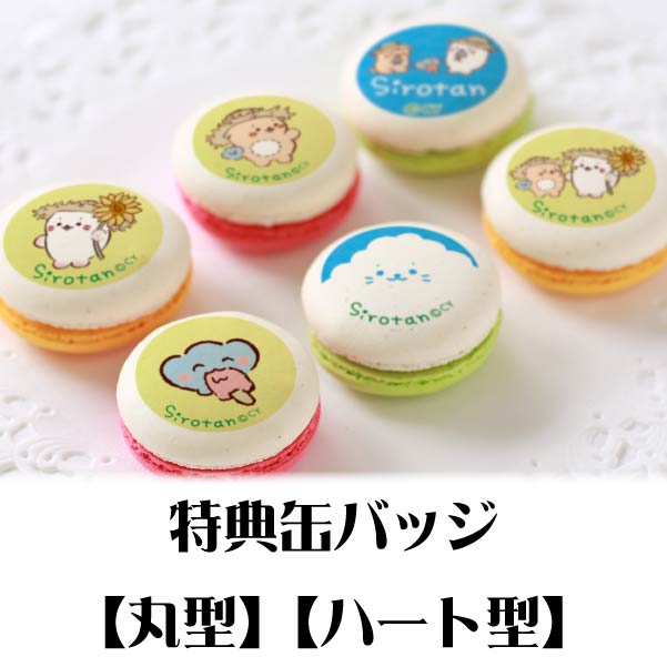 ץޥ6ĥåȡʤҤޤˡŵ̥Хåդ[]