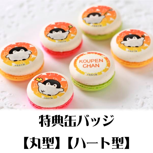 �ץ�ޥ�����6�ĥ��åȡ�ͼ�Ƥ��ˡ���ŵ�̥Хå��դ���[�����ڥ�����]