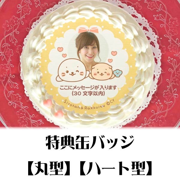 �ڼ̿���å���������ۥץꥱ�����ʤ����������ä����̡ˡ���ŵ�̥Хå��դ���[��������]