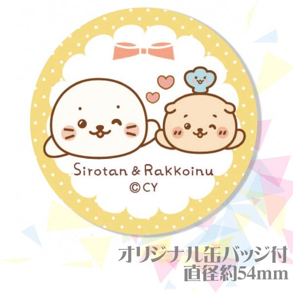 �ڼ̿���å���������ۥץꥱ�����ʤ����������ä����̡ˡ���ŵ�̥Хå��դ���[��������]