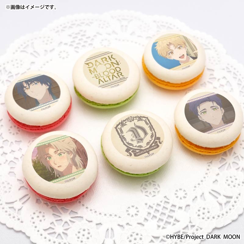 プリマカロン6個セット（ソロン&シオン&ジャカ&ノア）【特典ミニ
