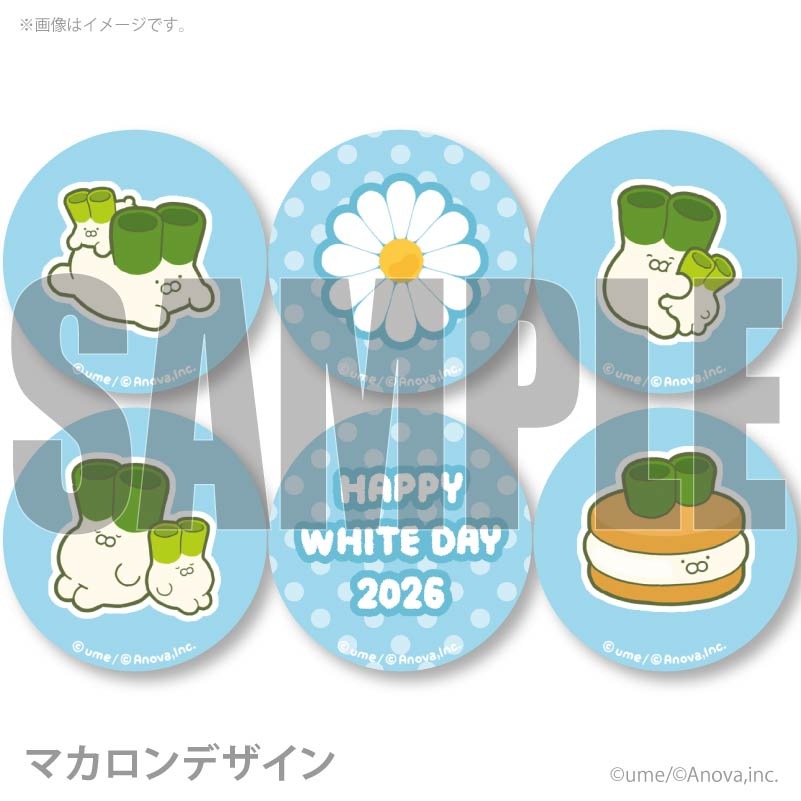 �ۥ磻�ȥǡ��ץ�ޥ�����6�ĥ��å�2026����ŵ�̥Хå��դ���[�ͥ�������]
