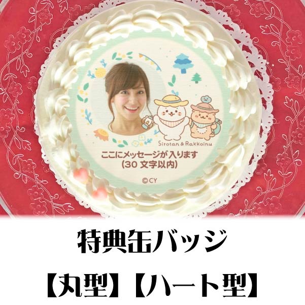 �ڼ̿���å���������ۥץꥱ�����ʿ��Τ�������ˡ���ŵ�̥Хå��դ���[��������]