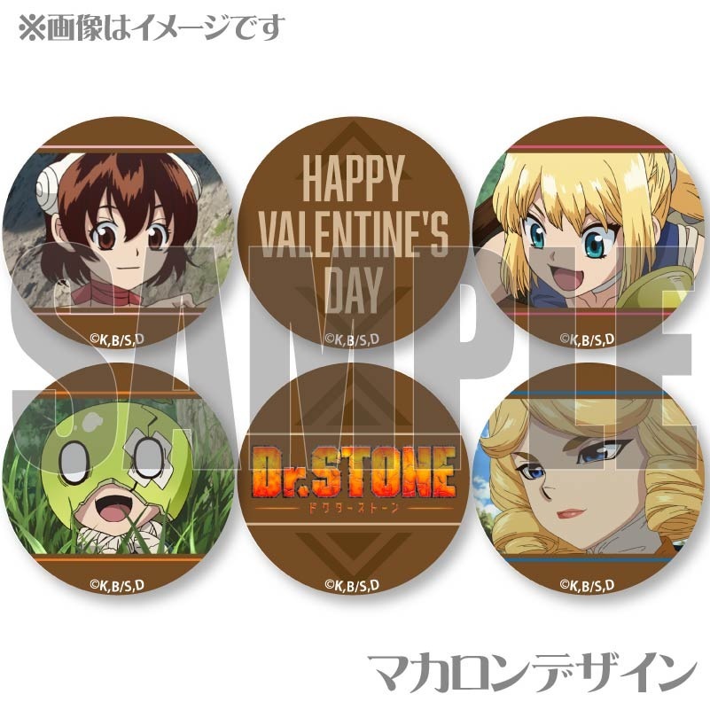 Х󥿥ץޥ6ĥå2025ʾ ۺϥե󥽥ˡŵ̥Хåդ[Dr.STONE]