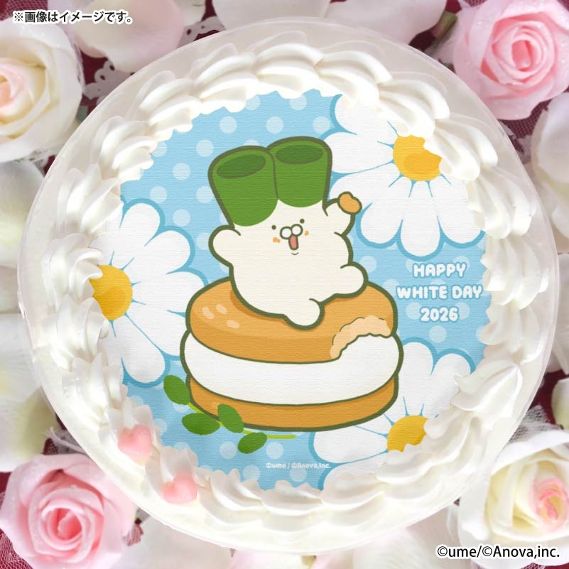 �ۥ磻�ȥǡ��ץꥱ����2026����ŵ�̥Хå��դ���[�ͥ�������]