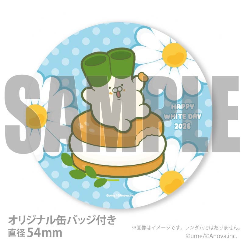 �ۥ磻�ȥǡ��ץꥱ����2026����ŵ�̥Хå��դ���[�ͥ�������]