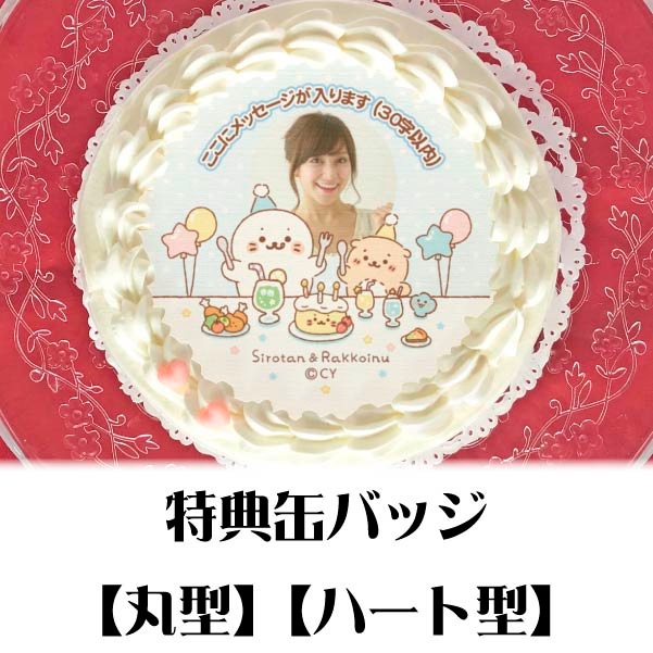 �ڼ̿���å���������ۥץꥱ�����ʤߤ�ʤǤ����󤸤礦�Ӳ��B�աˡ���ŵ�̥Хå��դ���[��������]