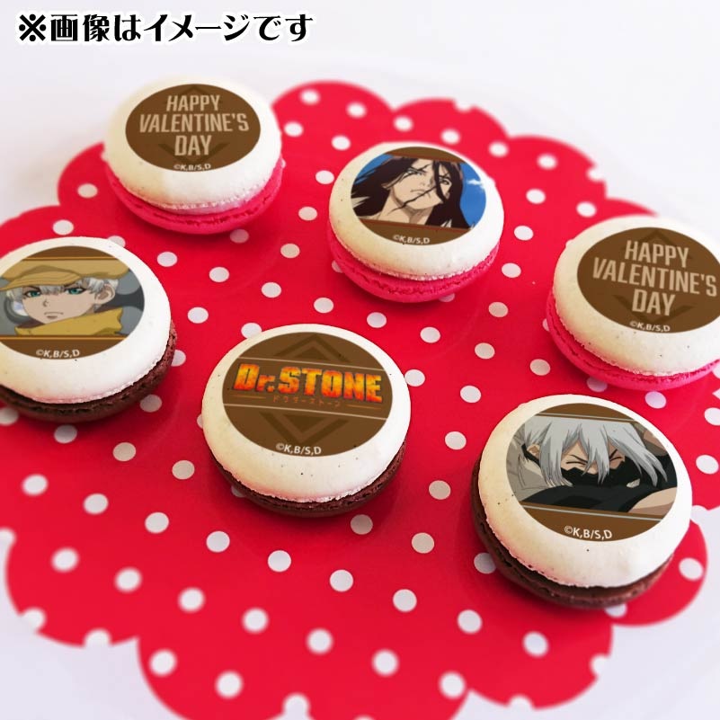 Х󥿥ץޥ6ĥå2025ʻҲʡɹˡŵ̥Хåդ[Dr.STONE]