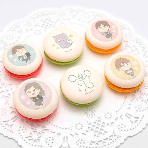 �ץ�ޥ�����6�ĥ��åȡʤդ����¥���ɥ�ƻ��ˡ���ŵ�̥Хå��դ���[����ĥ��]