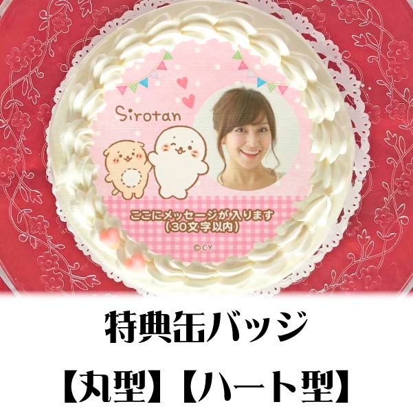 �ڼ̿���å���������ۥץꥱ�����ʤ����������ä����̡ˡ���ŵ�̥Хå��դ���[��������]