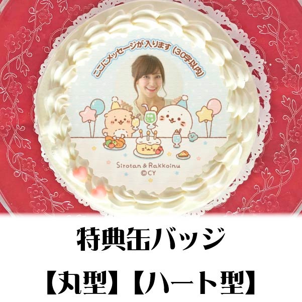 �ڼ̿���å���������ۥץꥱ�����ʤߤ�ʤǤ����󤸤礦�Ӳ��A�աˡ���ŵ�̥Хå��դ���[��������]