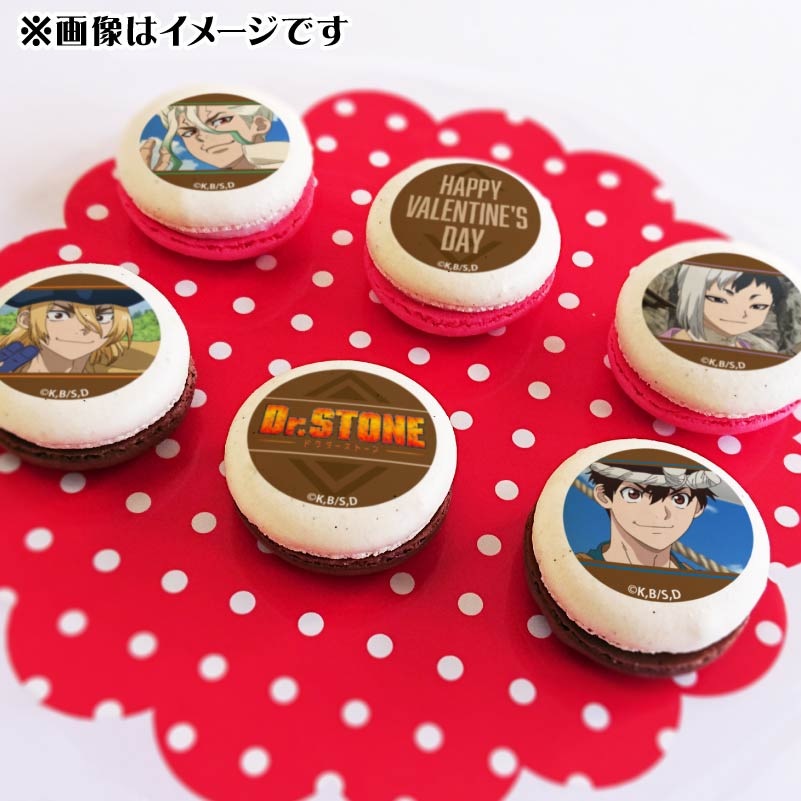 �Х�󥿥���ץ�ޥ�����6�ĥ��å�2025���п�������������ꥲ�������ζ���������ˡ���ŵ�̥Хå��դ���[Dr.STONE]