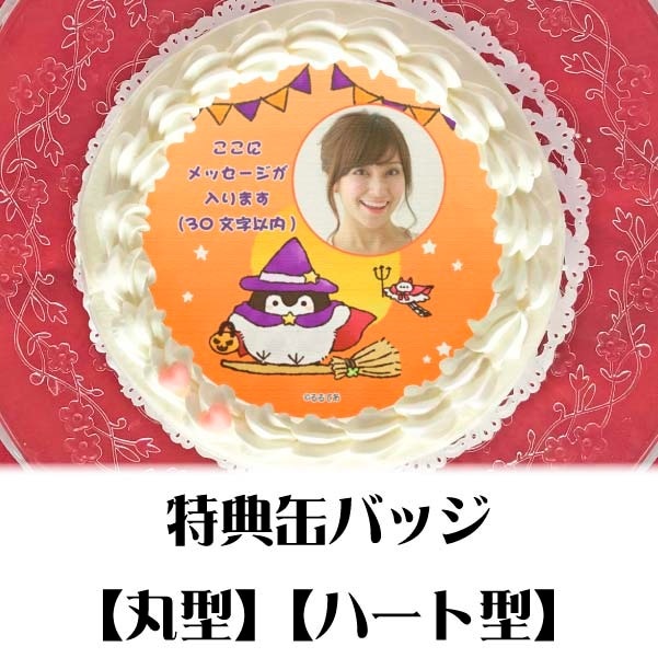 �ڼ̿���å���������ۥץꥱ�����ʥϥ�������A�ˡ���ŵ�̥Хå��դ���[�����ڥ�����]