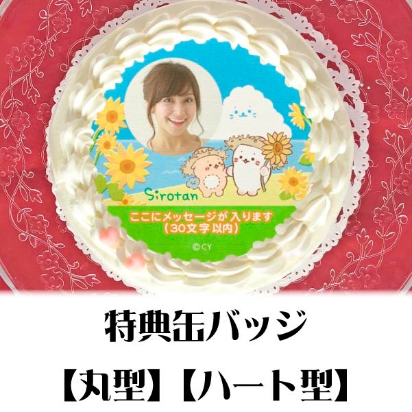 �ڼ̿���å���������ۥץꥱ�����ʤҤޤ��ˡ���ŵ�̥Хå��դ���[��������]