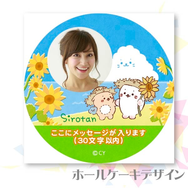 �ڼ̿���å���������ۥץꥱ�����ʤҤޤ��ˡ���ŵ�̥Хå��դ���[��������]