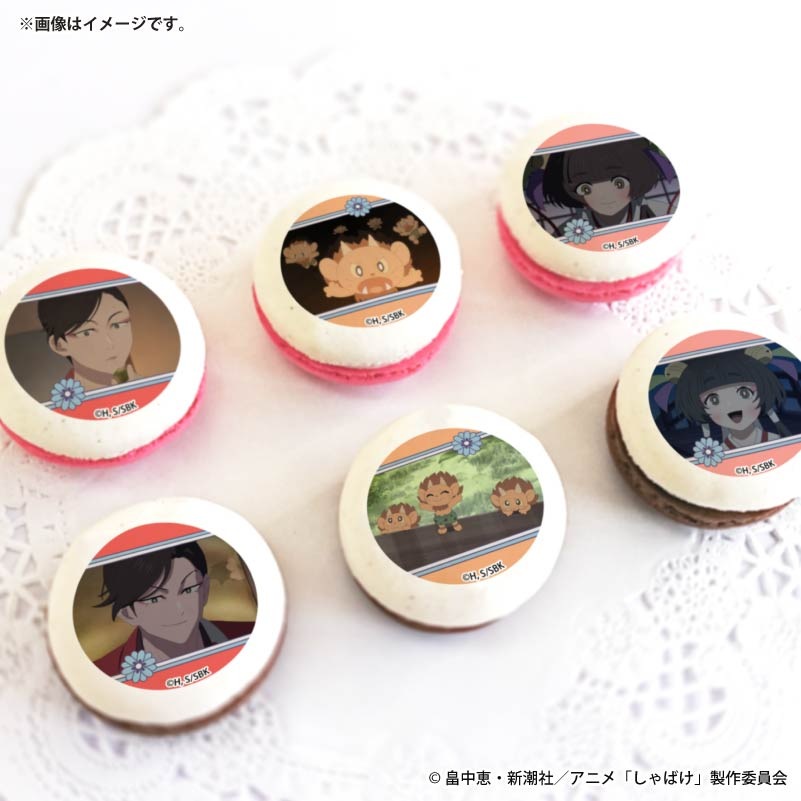 �ۥ磻�ȥǡ��ץ�ޥ�����6�ĥ��å�2026���Ĳȡ�֢���Τ�������ɧɱ�ˡ���ŵ�̥Хå��դ���[����Ф�]