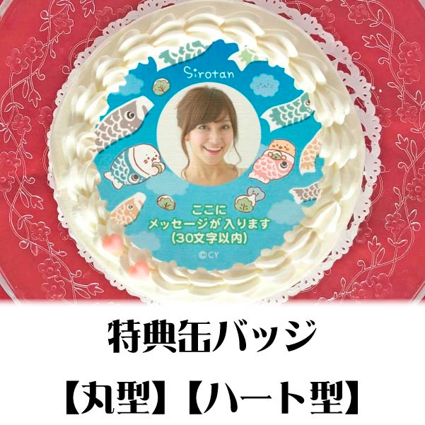 �ڼ̿���å���������ۥץꥱ�����ʤ����Τܤ�ˡ���ŵ�̥Хå��դ���[��������]