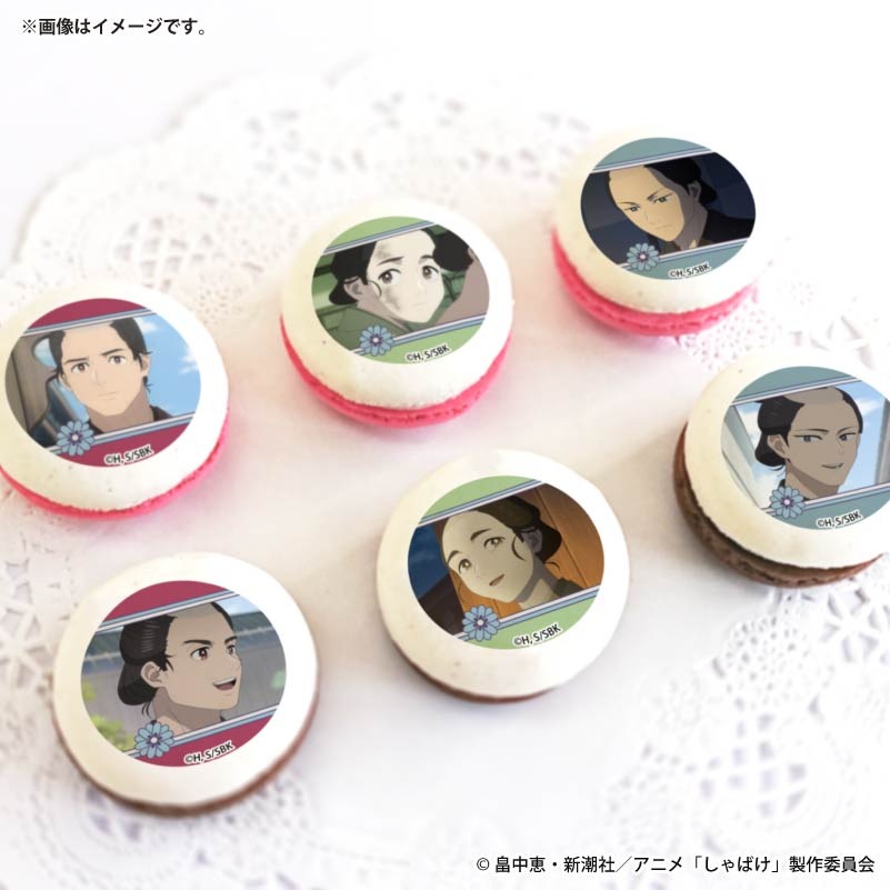 �ۥ磻�ȥǡ��ץ�ޥ�����6�ĥ��å�2026�ʰ���Ϻ���εȡ������ˡ���ŵ�̥Хå��դ���[����Ф�]