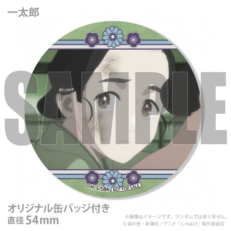 �ۥ磻�ȥǡ��ץ�ޥ�����6�ĥ��å�2026�ʰ���Ϻ���εȡ������ˡ���ŵ�̥Хå��դ���[����Ф�]